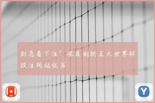 别急着下注!深度剖析五大世界杯投注网站优劣