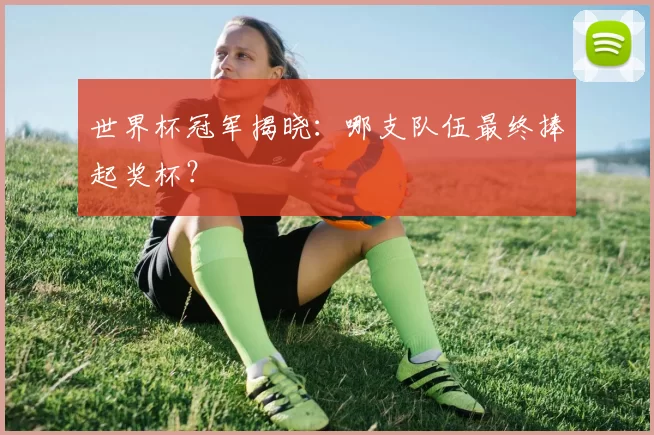 世界杯冠军揭晓:哪支队伍最终捧起奖杯?