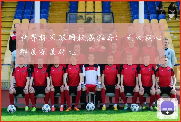 世界杯买球网权威推荐:五大核心维度深度对比
