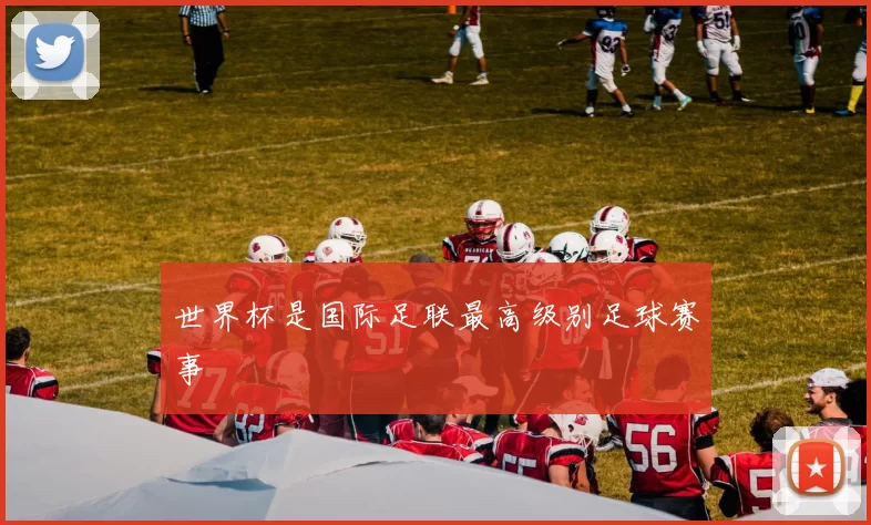 世界杯是国际足联最高级别足球赛事