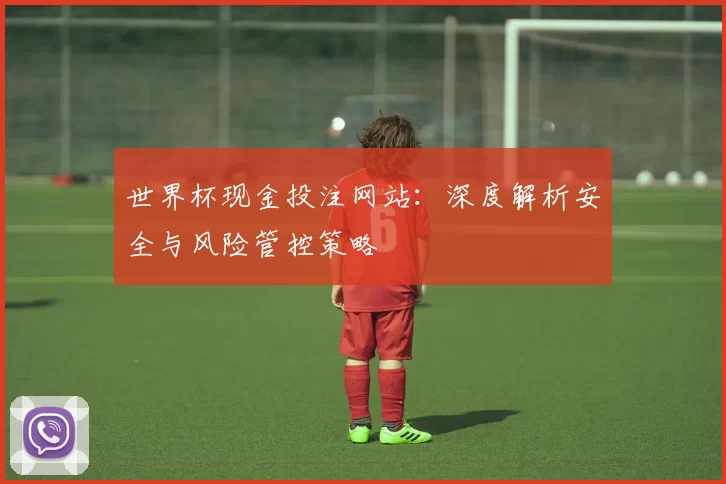 世界杯现金投注网站:深度解析安全与风险管控策略