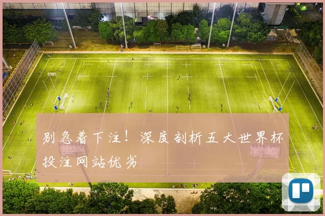 别急着下注!深度剖析五大世界杯投注网站优劣