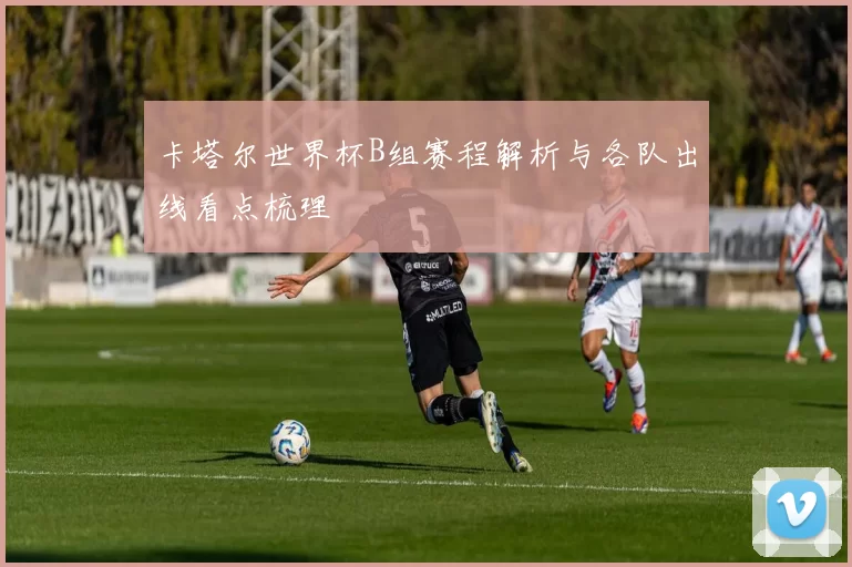 卡塔尔世界杯B组赛程解析与各队出线看点梳理
