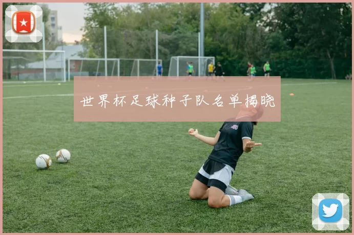 世界杯足球种子队名单揭晓