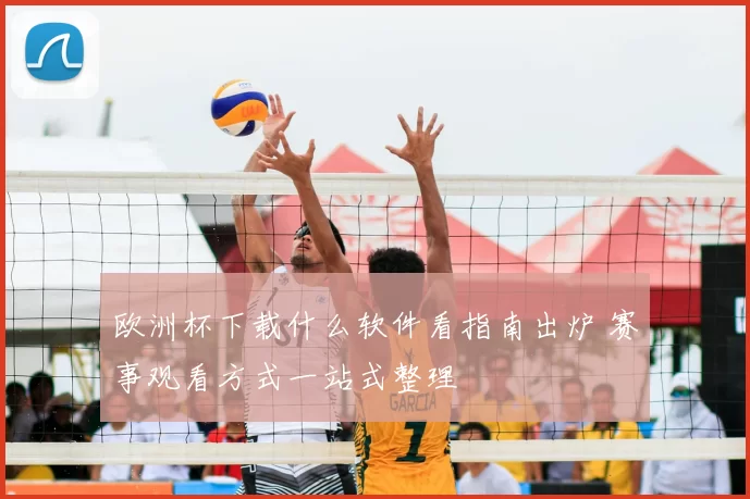 欧洲杯下载什么软件看指南出炉 赛事观看方式一站式整理