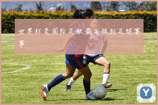 世界杯是国际足联最高级别足球赛事