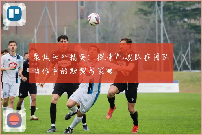 聚焦和平精英:探索WE战队在团队协作中的默契与策略
